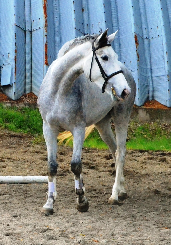 dsc_4085
