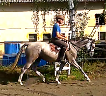 Snímek 2 (8.9.2015 14-39)
