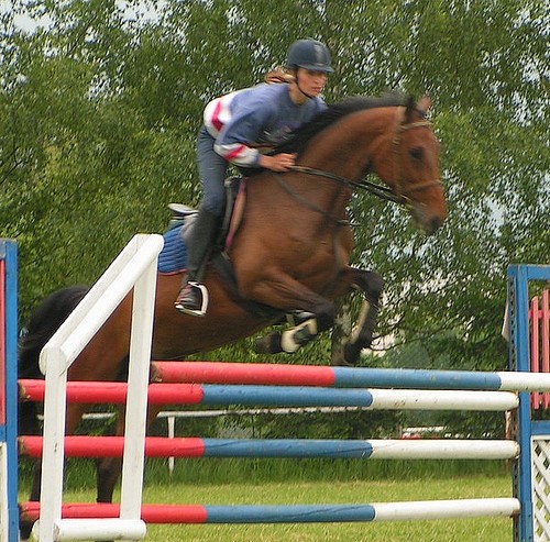 2[1].6.2007 Den deti a den koni 092.JPG