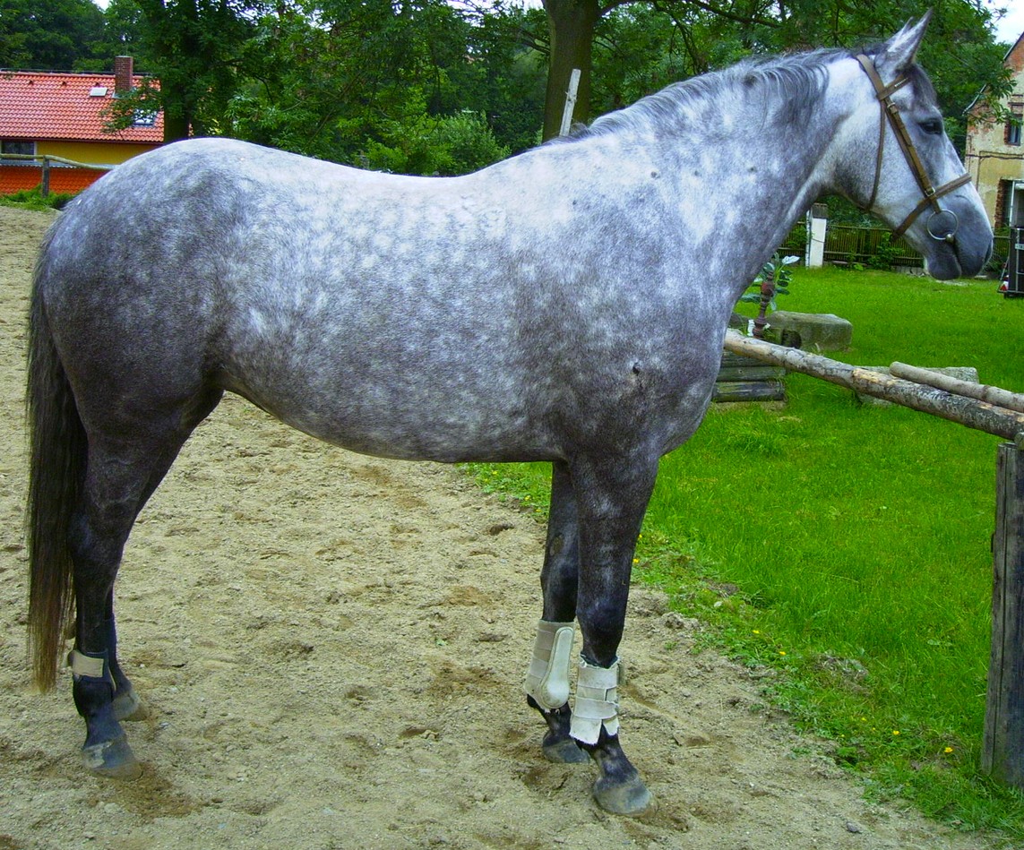 PICT0013.JPG