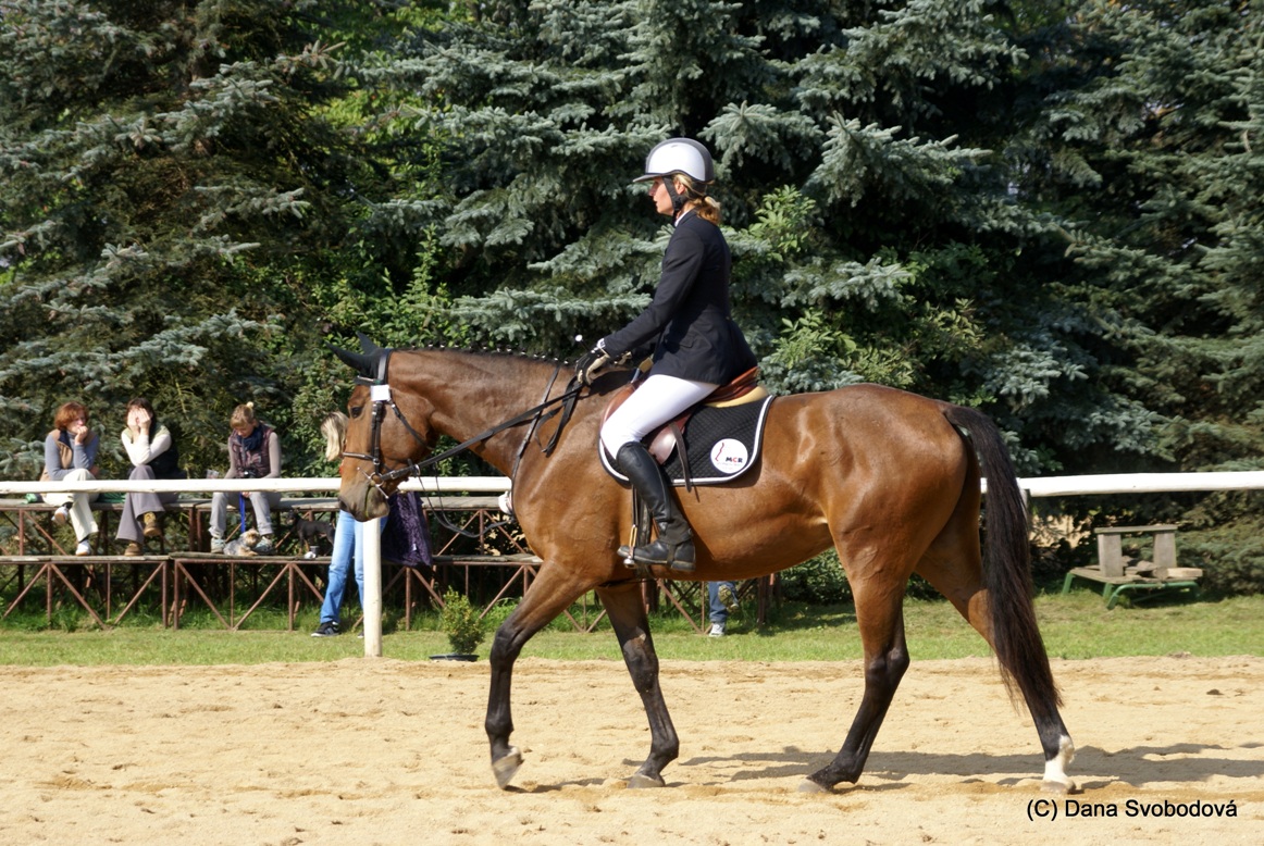 vyk zk Nebanice 27.9.2011 095