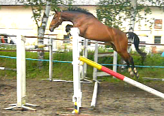 Snímek 2 (1.8.2012 20-57)