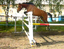 Snímek 7 (1.8.2012 21-02)